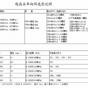 杰瑞特JCV420不锈钢超高压单向阀