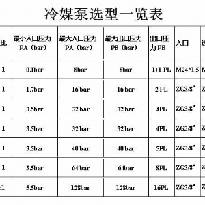 杰瑞特R系列冷媒增压泵