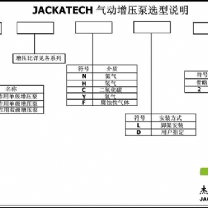 杰瑞特JAS系列气体增压泵